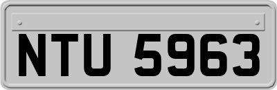 NTU5963