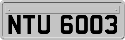 NTU6003