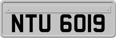 NTU6019