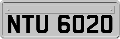 NTU6020