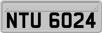 NTU6024