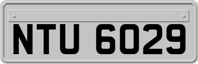 NTU6029