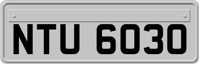 NTU6030