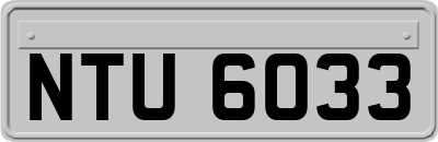 NTU6033