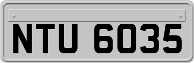 NTU6035