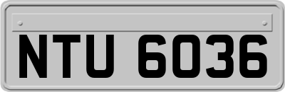 NTU6036