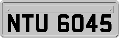NTU6045