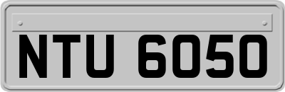 NTU6050