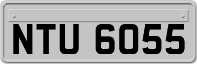 NTU6055