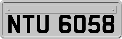 NTU6058
