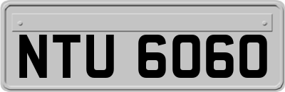 NTU6060