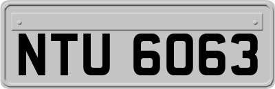 NTU6063