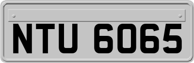 NTU6065