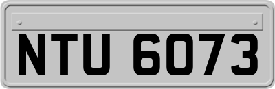NTU6073