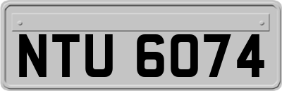 NTU6074