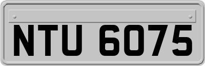 NTU6075