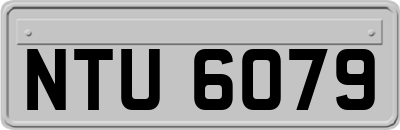 NTU6079