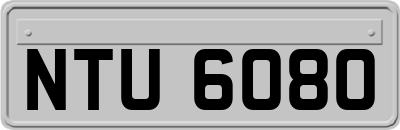 NTU6080