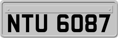 NTU6087