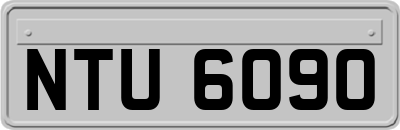 NTU6090