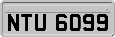 NTU6099