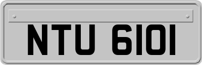 NTU6101