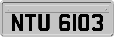 NTU6103