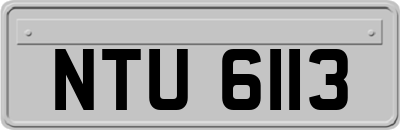 NTU6113