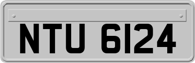 NTU6124