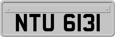 NTU6131