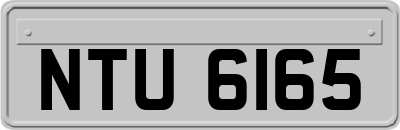 NTU6165