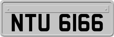 NTU6166