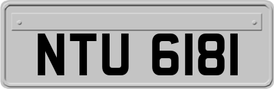 NTU6181