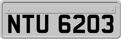 NTU6203