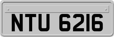 NTU6216