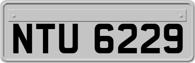NTU6229