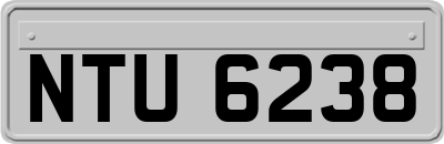 NTU6238