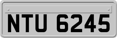 NTU6245