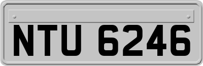 NTU6246