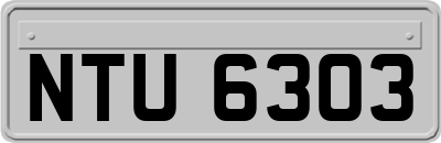 NTU6303