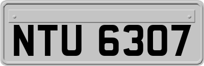 NTU6307