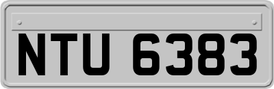 NTU6383