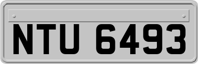 NTU6493