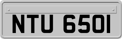 NTU6501