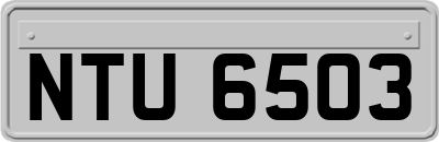 NTU6503