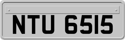 NTU6515