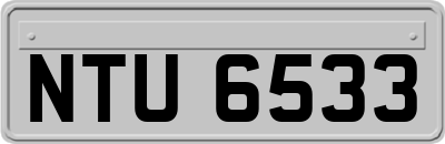 NTU6533