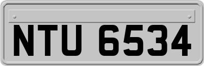 NTU6534