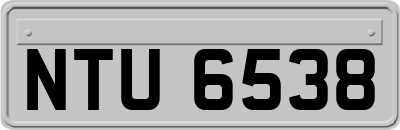 NTU6538