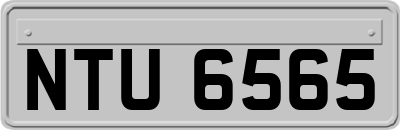 NTU6565